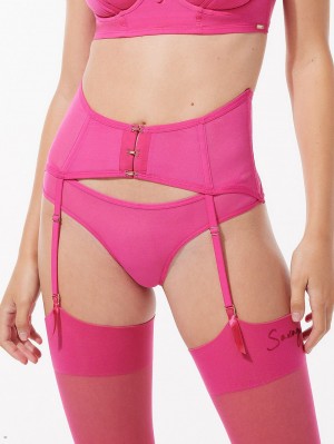 Pink Savage X Fenty See Thru U Garter Belt Women's Lingerie | VCOWKR536