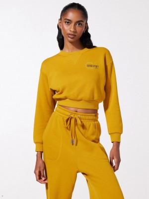 Yellow Savage X Fenty Xssential Scope Logo Cropped Women's Sweatshirt | CPDUBE703