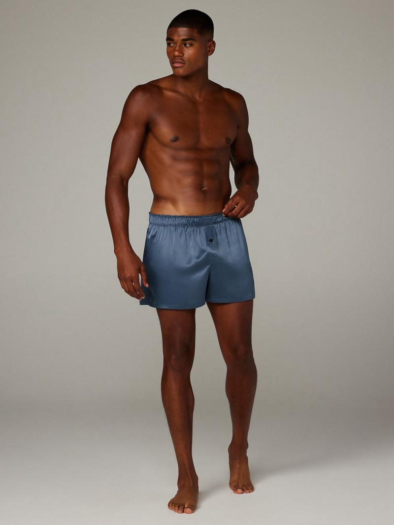 Blue Savage X Fenty Bed Of Dreams Satin Boxers Men's Shorts | JWXYEC801