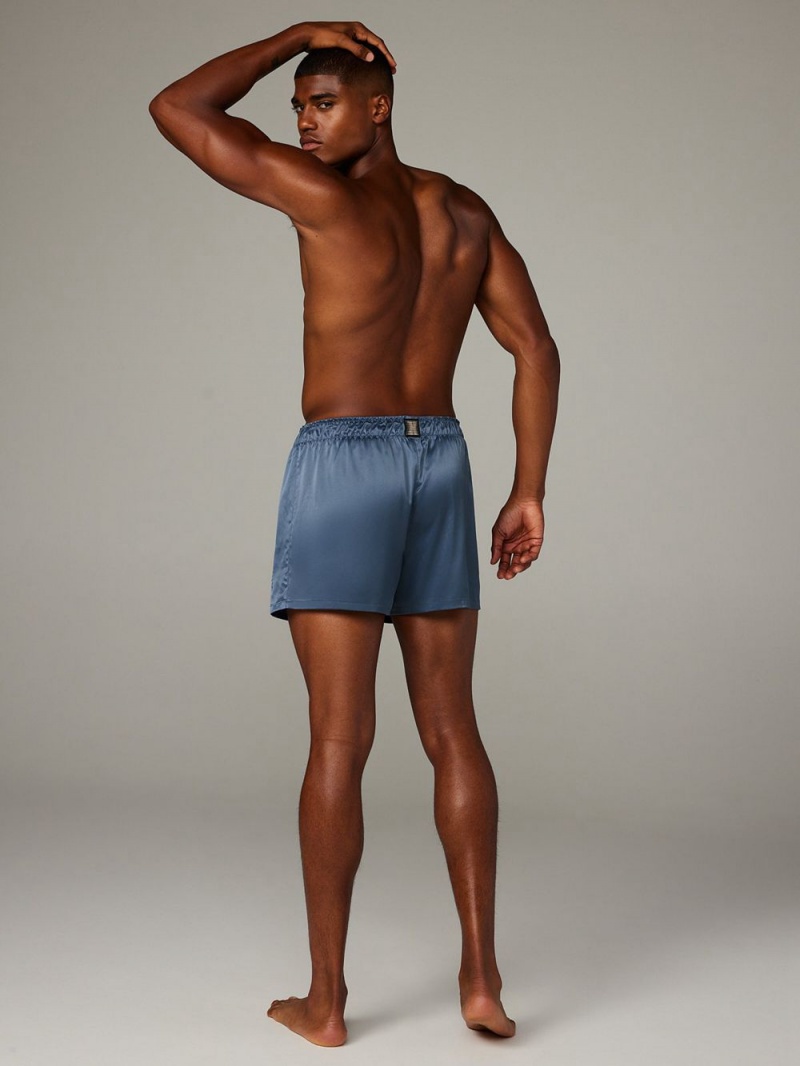 Blue Savage X Fenty Bed Of Dreams Satin Boxers Men's Shorts | JWXYEC801