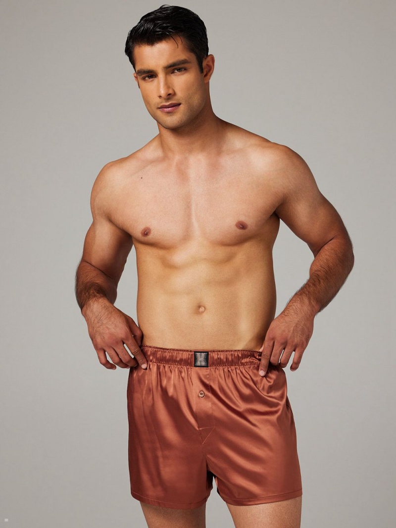 Brown Savage X Fenty Satin Boxers Men's Shorts | YUZDAO742