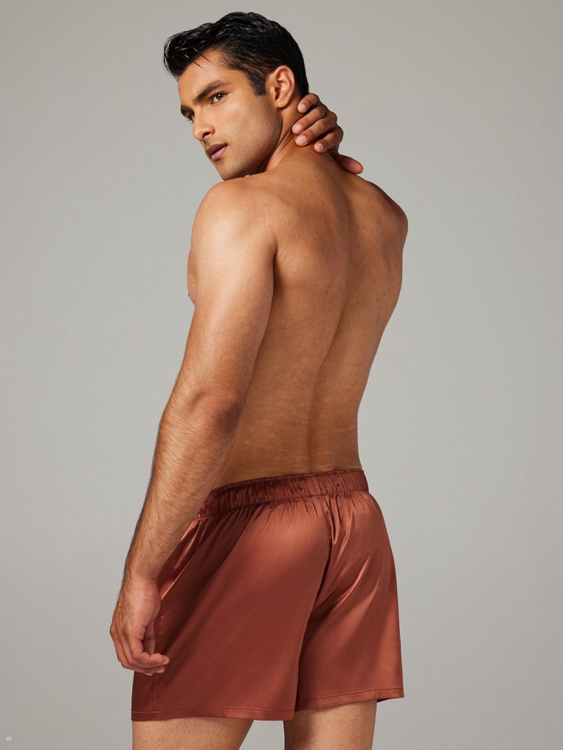 Brown Savage X Fenty Satin Boxers Men's Shorts | YUZDAO742