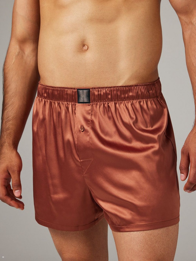 Brown Savage X Fenty Satin Boxers Men\'s Shorts | YUZDAO742