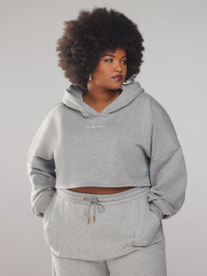 Grey Savage X Fenty Xssential Cropped With Logo Women's Hoodie | HAXTJB309